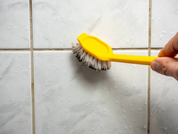 Best Certified Mold Removal  in Brooksville, FL