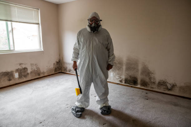 Best Mold Testing  in Brooksville, FL